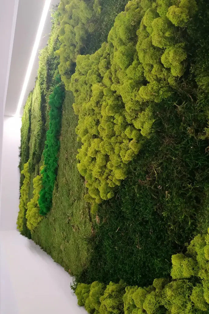 cuadro musgo paredes verticales jardines