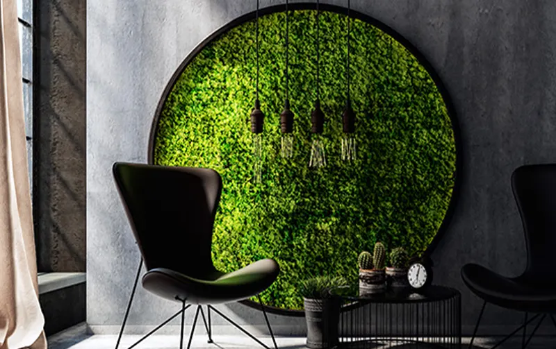 cuadro musgo preservado jardin interior