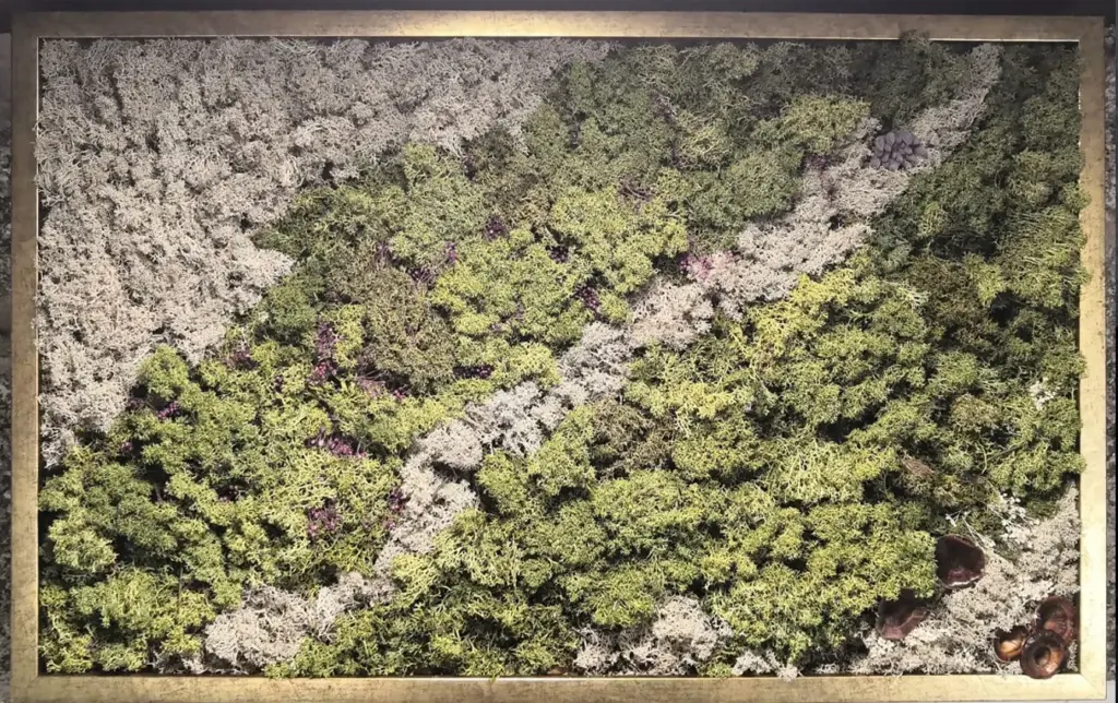 cuadro musgo preservado jardin interiores