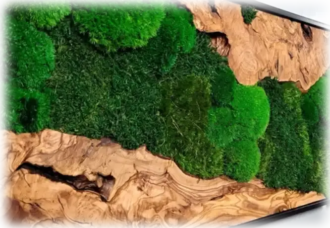 cuadros vegetales.galicia
