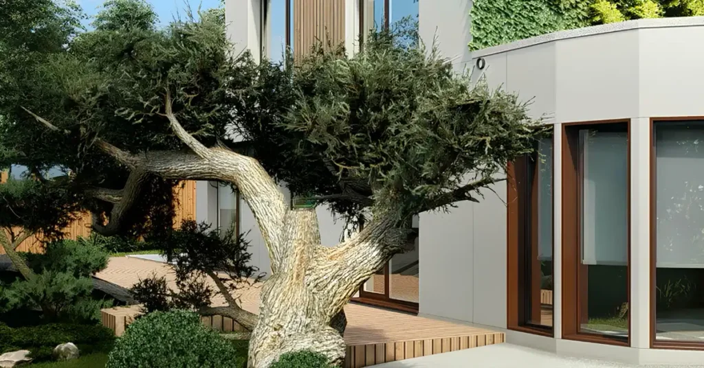 paisajismo residencial galicia